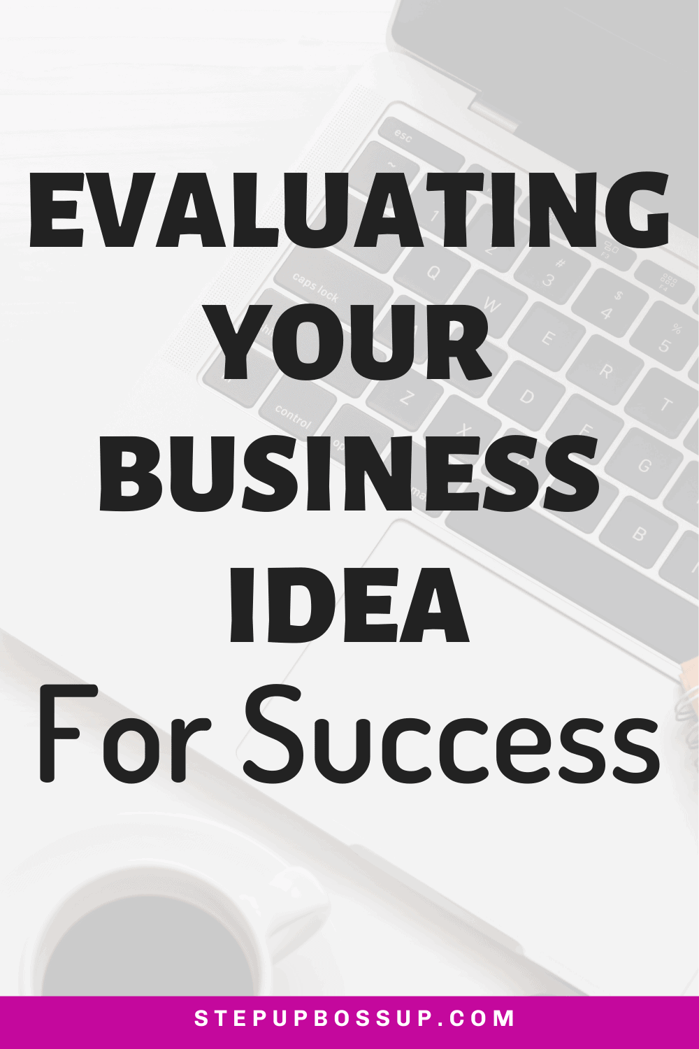 evaluate a business idea
