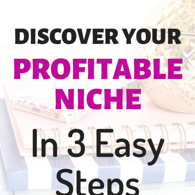 profitable niche